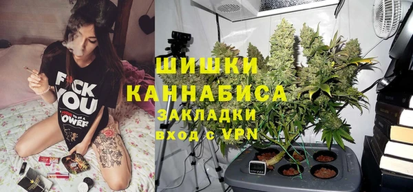 прущая мука Вяземский