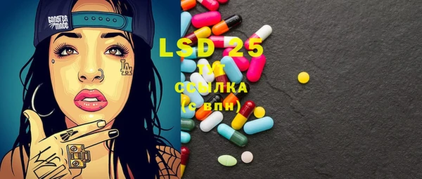 прущая мука Вяземский