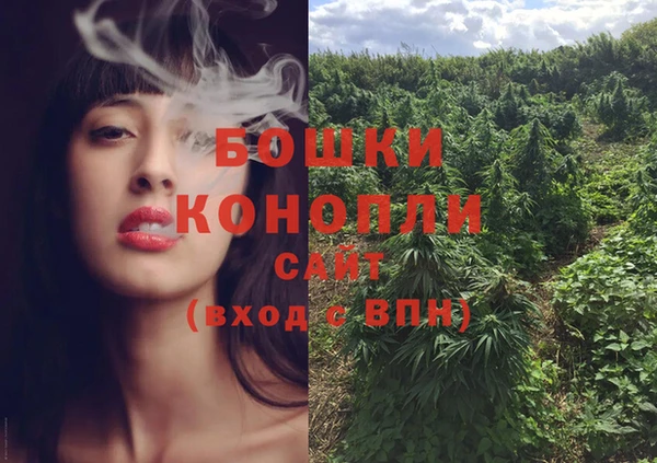 крисы Горняк