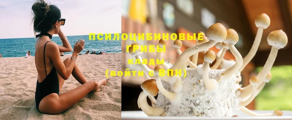 прущая мука Вяземский
