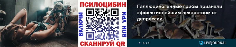 Псилоцибиновые грибы Magic Shrooms  Купить закладки  Заозёрск 