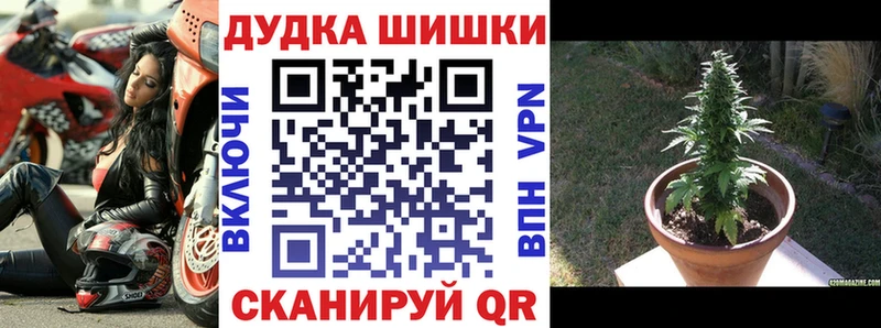 Купить закладки Заозёрск Шишки марихуана Ganja